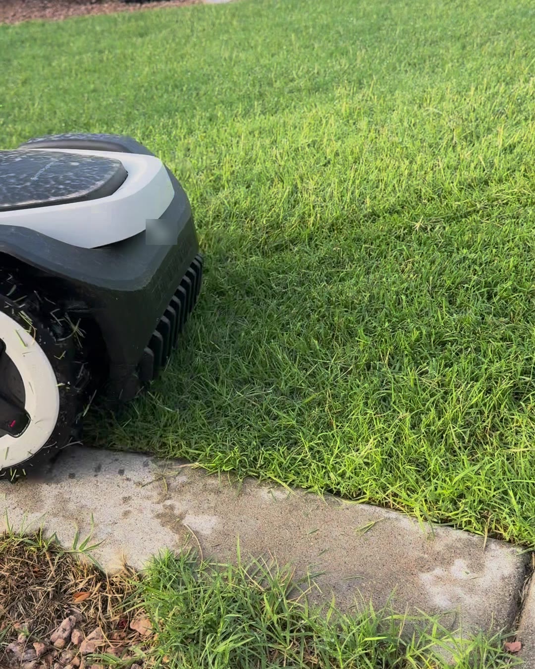 Close up of the mower's wheel trimming the lawn right up to the sidewalk