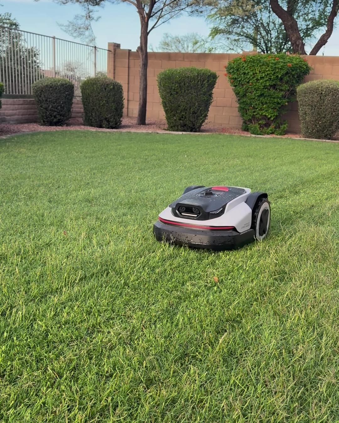 The RockNeo Q1 robot mower crossing a backyard lawn